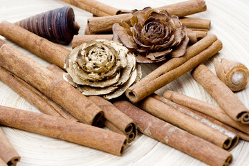 decoration with cinnamon and shells