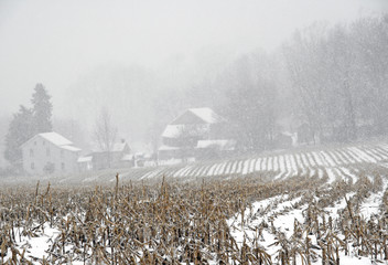 farm and cornfield with snow