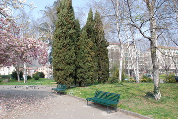 giardino fiorito