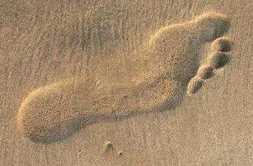 trace de pas