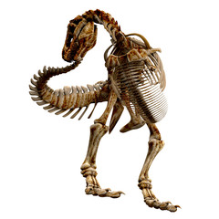 trex bones - 06