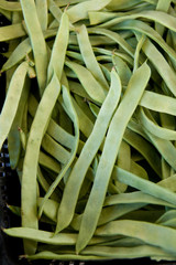 judias verde