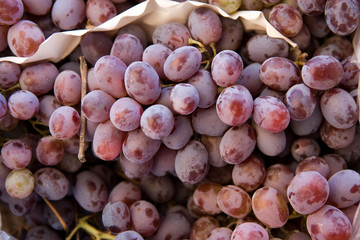 uvas negras