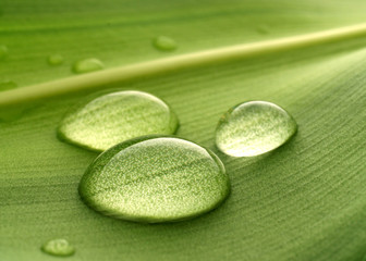 water drops