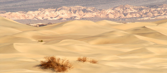 rolling sand dunes with mountains in death valley california at