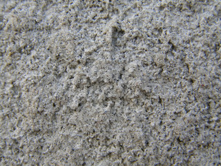 wall