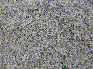wall