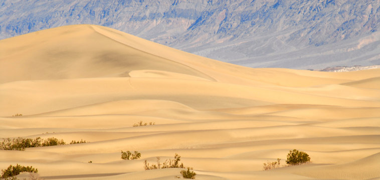 large sand dune at sundown in death valley california