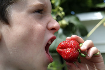 enfant mangeant une fraise