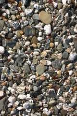 beach pebbles