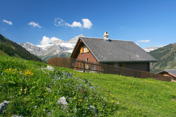 Fototapeta premium sunny mountains farm