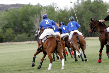 polo teammates chasing