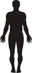 human body silhouette