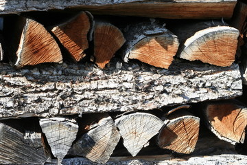 pile of logs