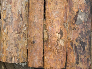 boards
