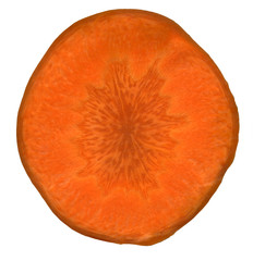 a slice of carrot