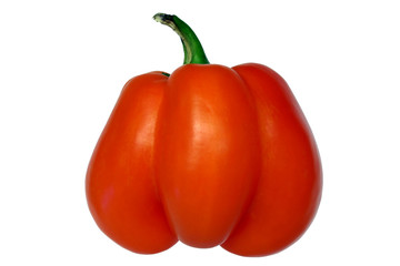 orange pepper isolated on a white background