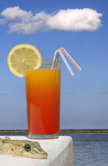coctel tropical con lagarto