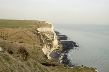 white cliffs