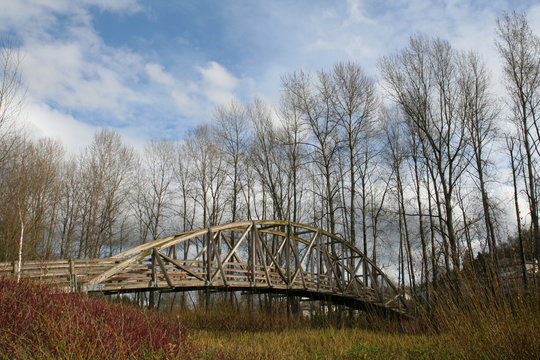 wooden bridge