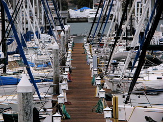 boats docked