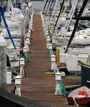 docked boats