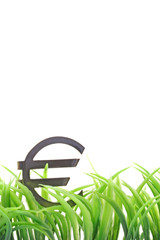 wachsender euro