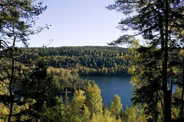 Afwasbaar fotobehang forest lake © Tyler Olson