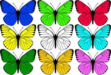Plakat butterflies