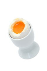 egg