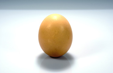egg