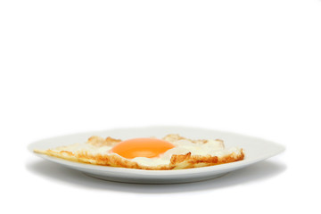 egg