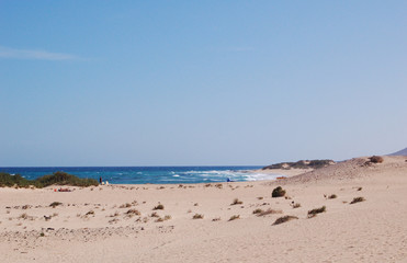 Fototapeta na wymiar wydmy beach