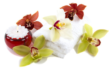 Naklejka premium colorful spa