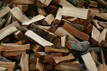 entassement bois
