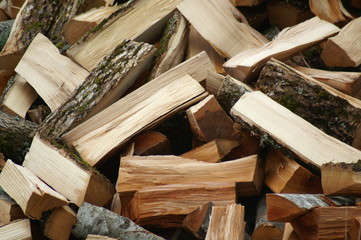 tas de bois