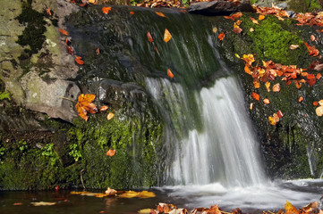 Fototapeta na wymiar autumn cascade and leaves