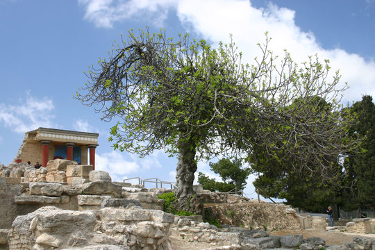 ruins of knossos palace, crete