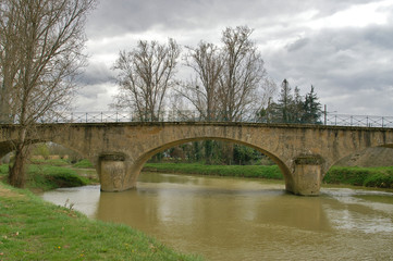 Fototapeta na wymiar le pont et la rivière marron