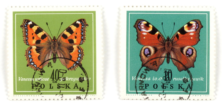 polish set of stamps - butterfly