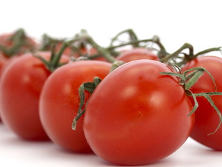 tomaten nah aufnahme