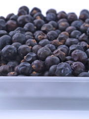 nah aufnahme wachholder beeren