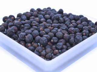 nah aufnahme wachholder beeren