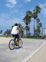 Fototapeta premium venice beach bike path