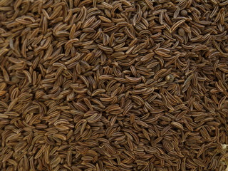 nah aufnahme kreutz kümmel