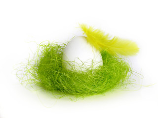 egg in green nest