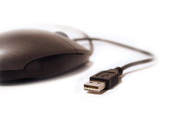 mouse