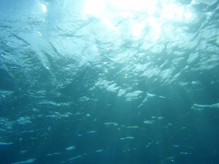 underwater, looking up