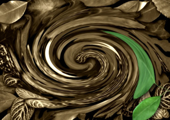 vortice di foglie