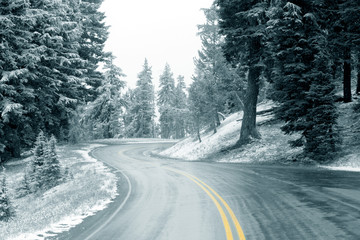 Fototapeta premium winter road